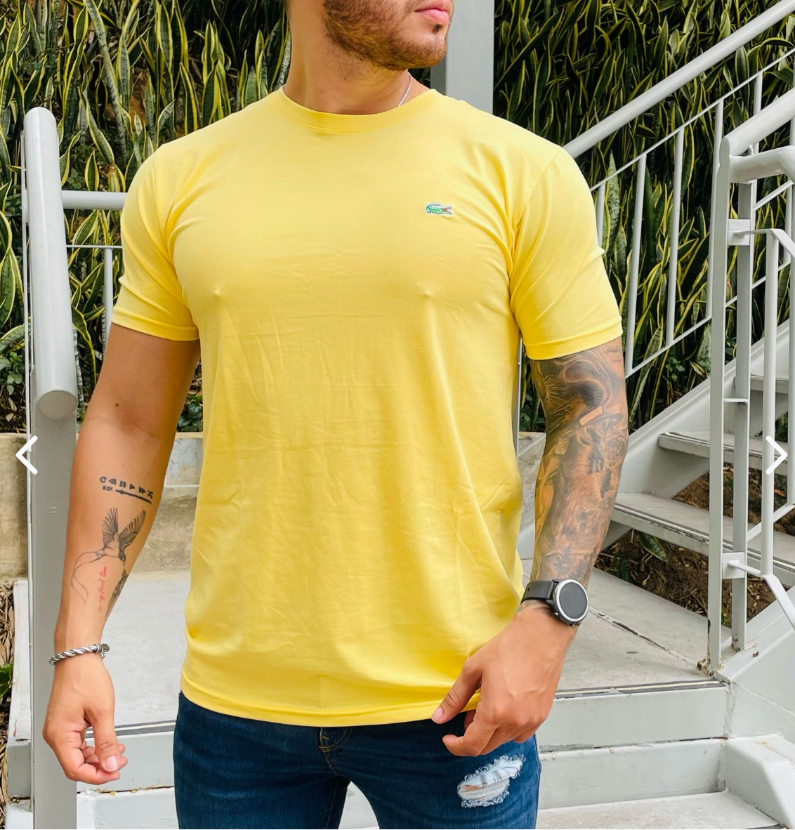 Camiseta LC 🐊👕 PAGA 2 Y LLEVA 3 🔥🔥